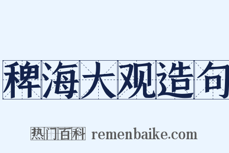 稗海大观造句是什么意思的图片